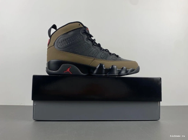 Rep Jordan Air Olive 9 HV4794-030 0704